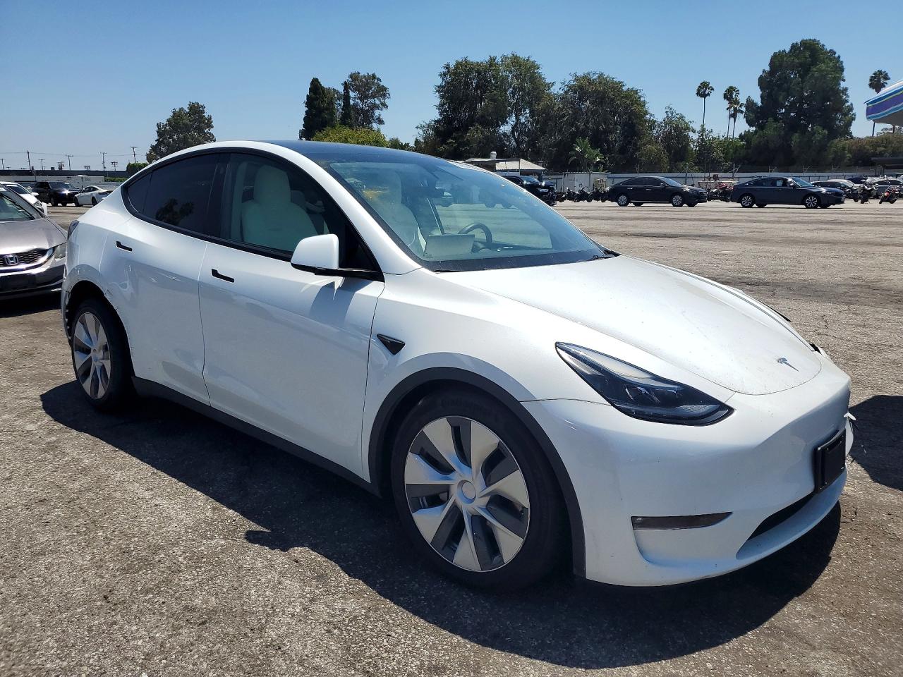 2023 Tesla Model Y White vin: 7SAYGDEEXPF630262