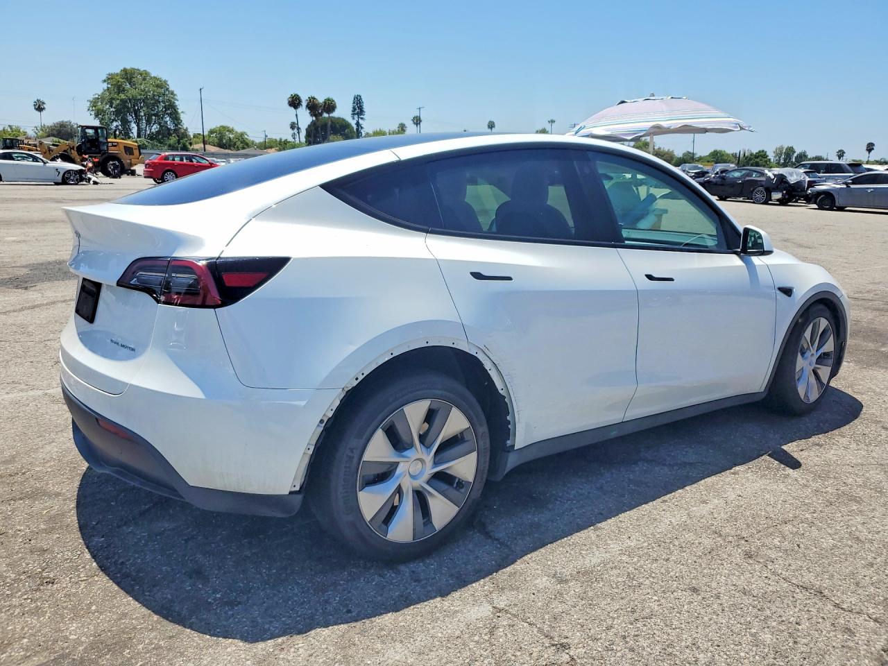 2023 Tesla Model Y White vin: 7SAYGDEEXPF630262