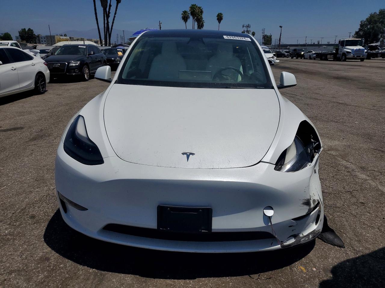2023 Tesla Model Y White vin: 7SAYGDEEXPF630262