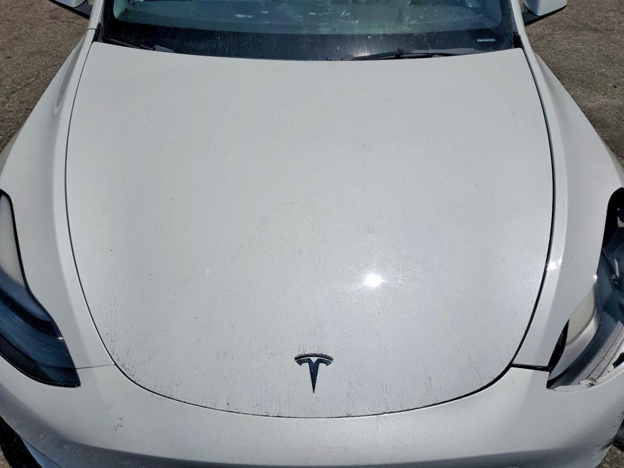 2023 Tesla Model Y White vin: 7SAYGDEEXPF630262