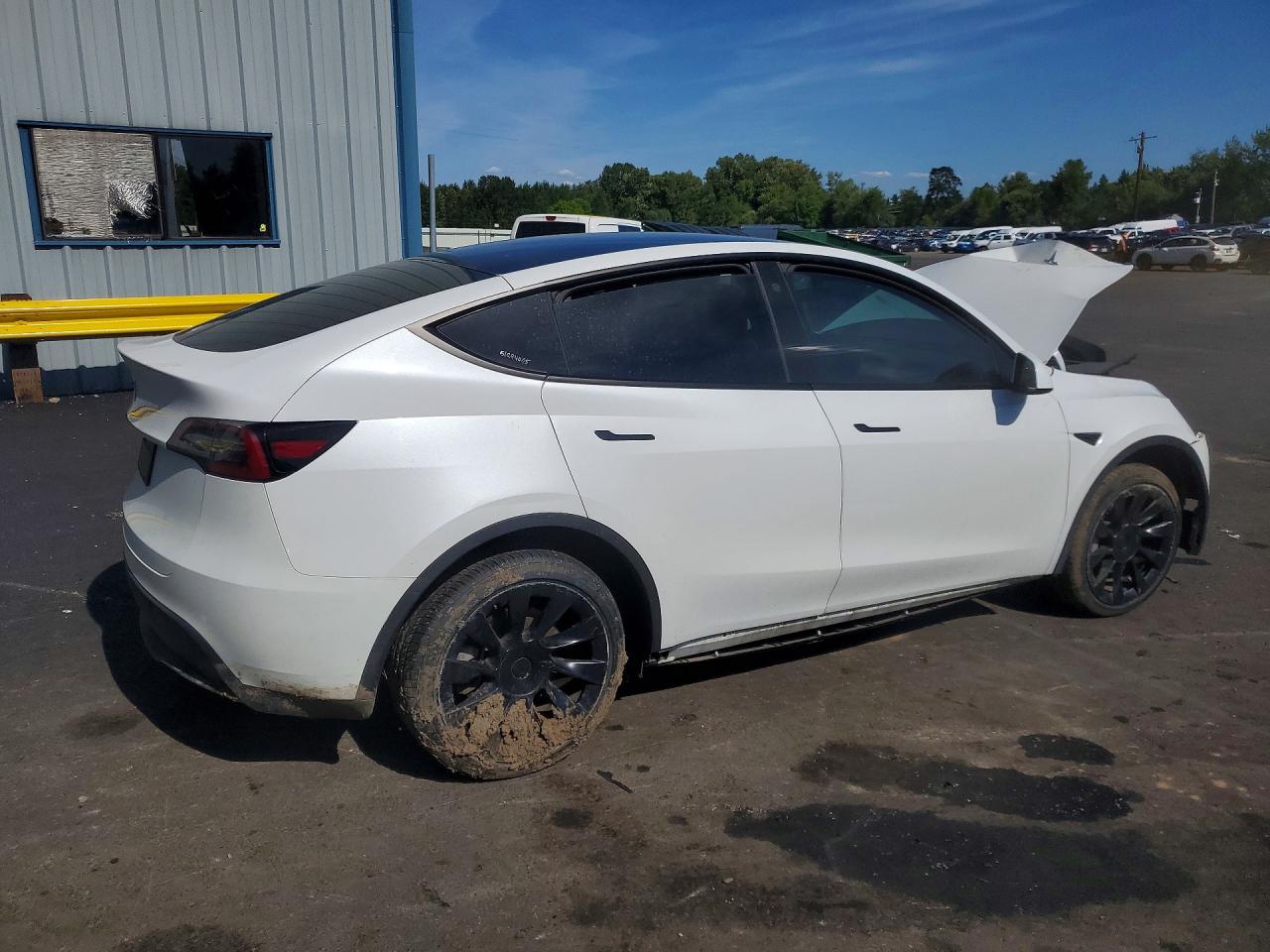 2023 Tesla Model Y White vin: 7SAYGDEEXPF637972