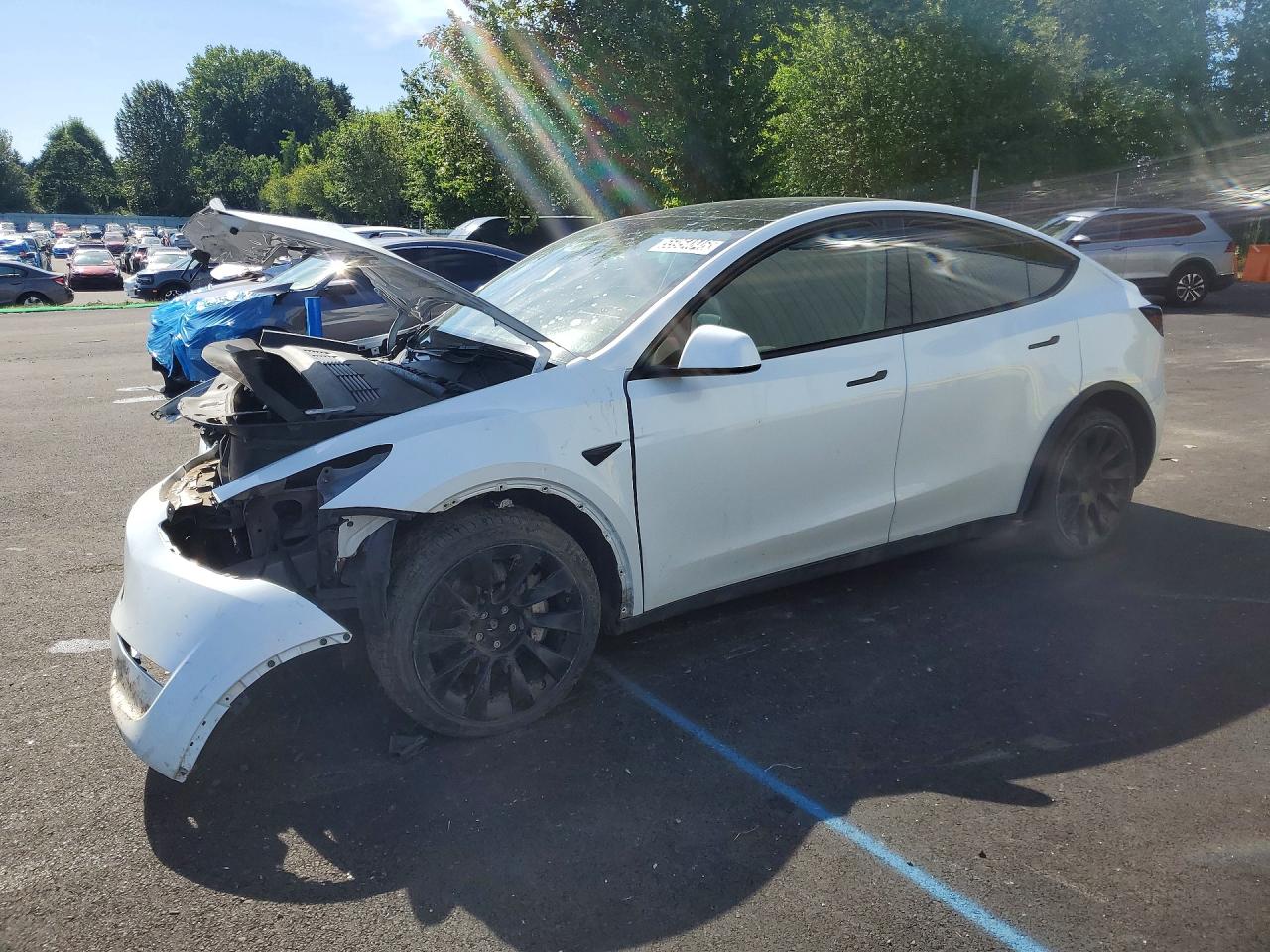 2023 Tesla Model Y White vin: 7SAYGDEEXPF637972