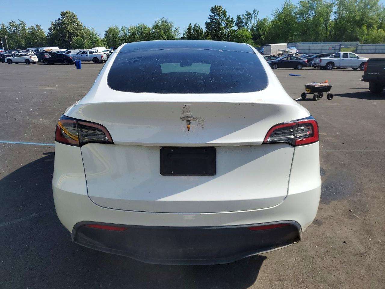 2023 Tesla Model Y White vin: 7SAYGDEEXPF637972
