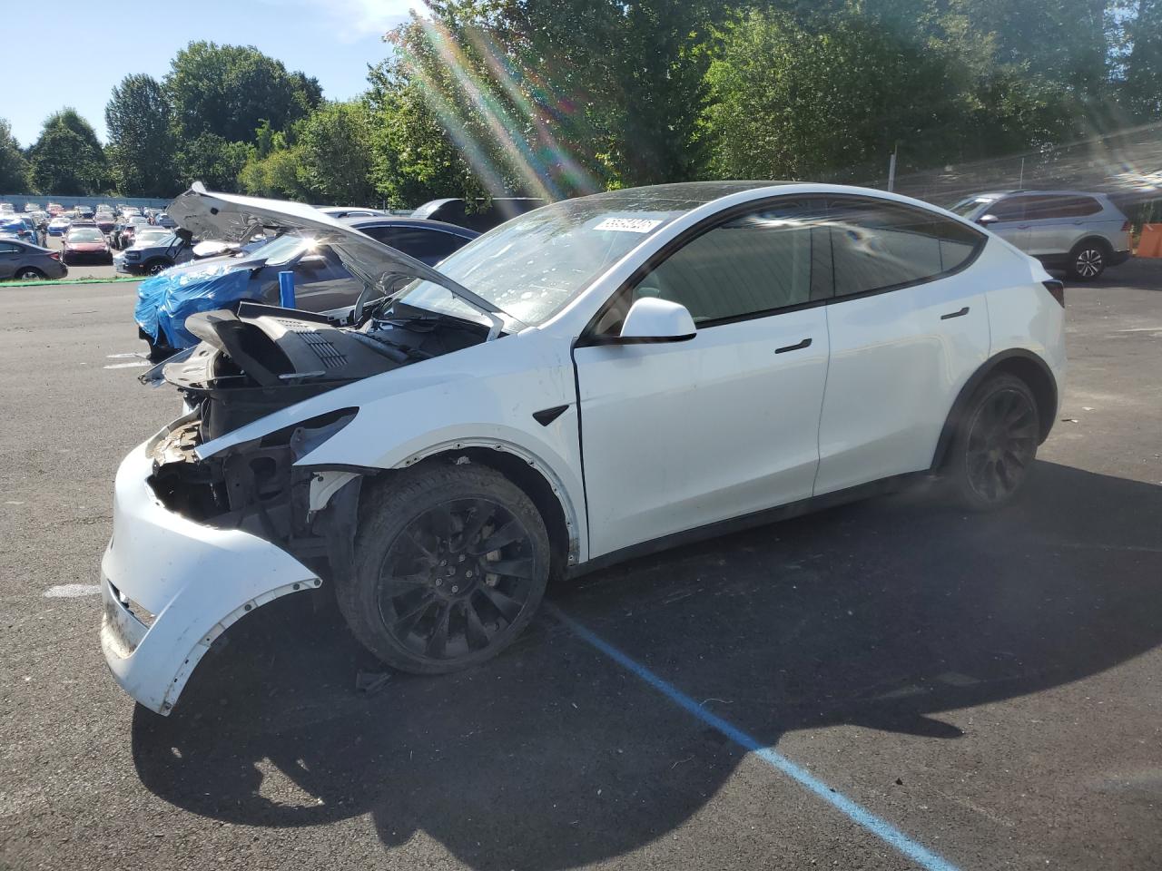2023 Tesla Model Y White vin: 7SAYGDEEXPF637972 Damage: Left Front Fender, Severe Damage, Replacement Required