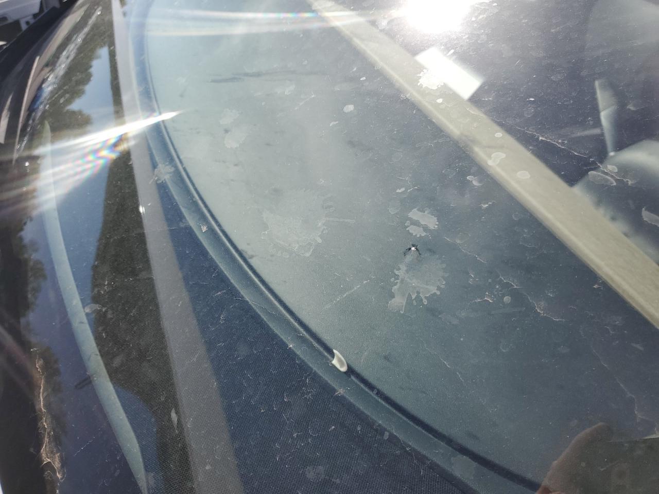 2023 Tesla Model Y White vin: 7SAYGDEEXPF637972 Damage: Windshield, Broken, Replacement Required