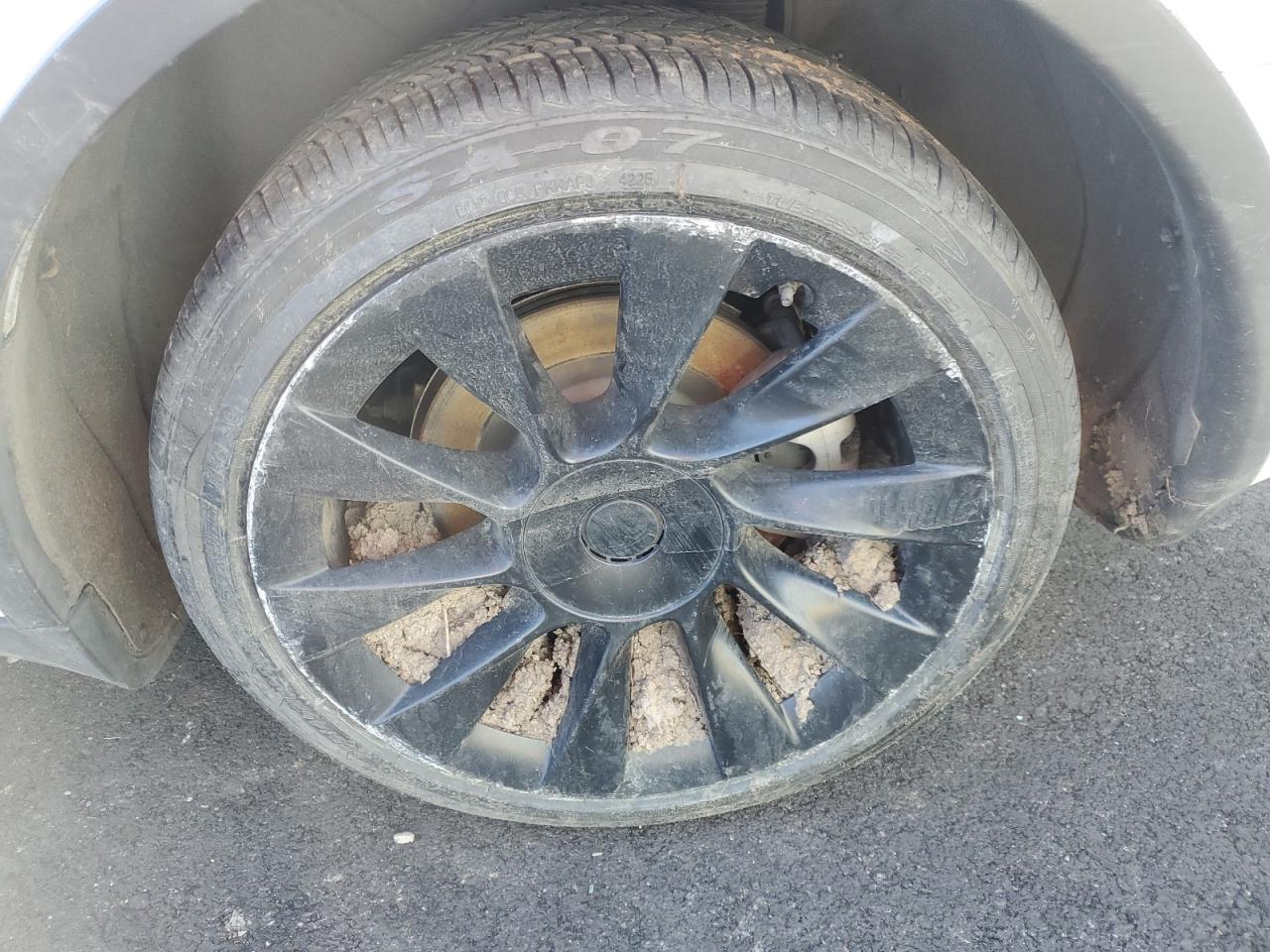 2023 Tesla Model Y White vin: 7SAYGDEEXPF637972 Damage: Left Rear Wheel, Curb Rash, > 12 Inches