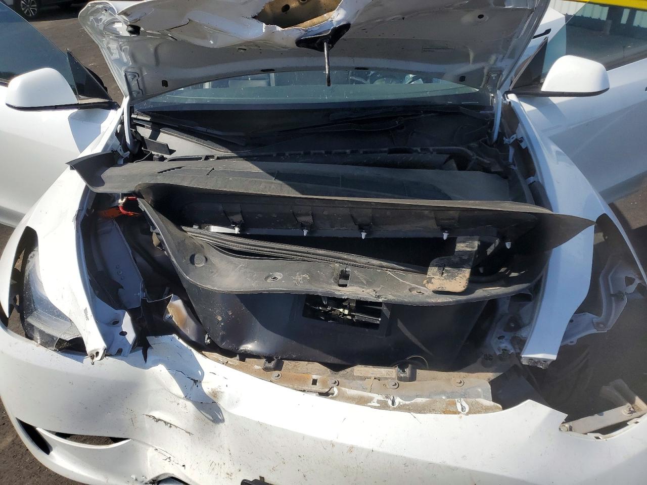 2023 Tesla Model Y White vin: 7SAYGDEEXPF637972