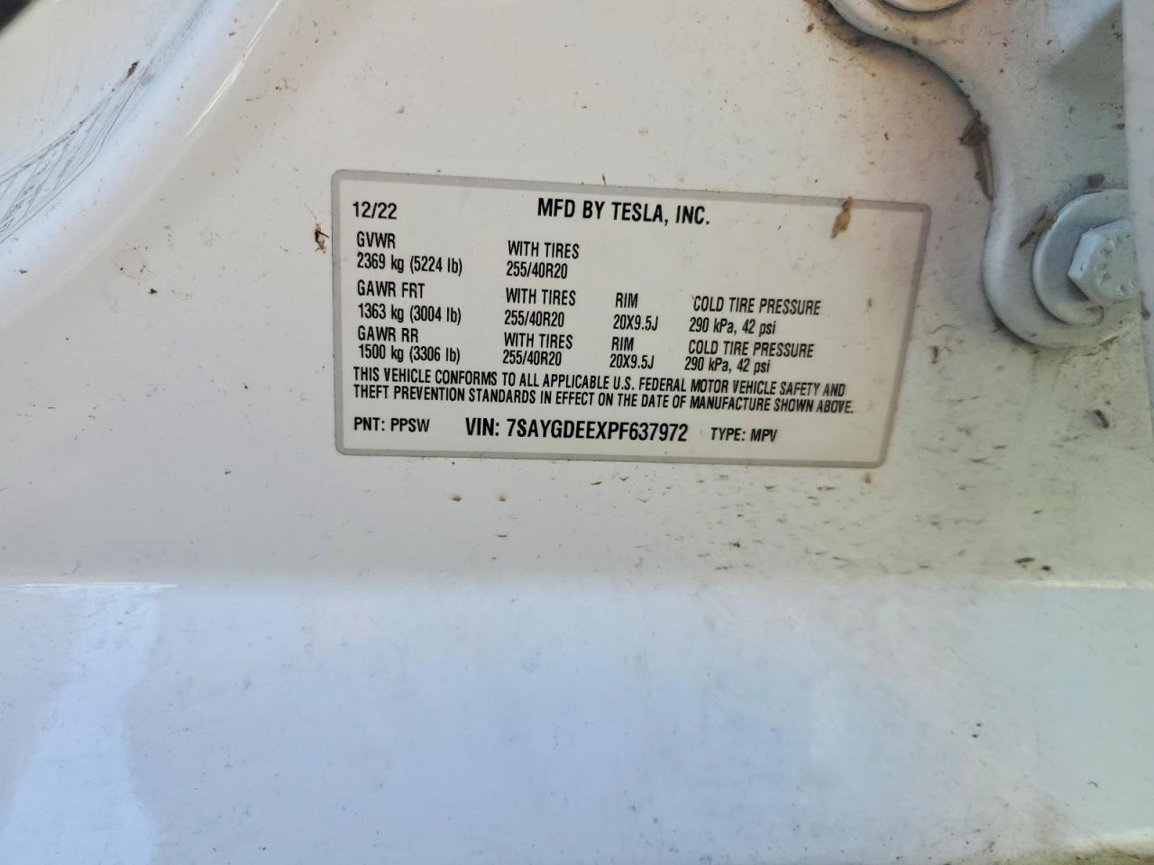 2023 Tesla Model Y White vin: 7SAYGDEEXPF637972
