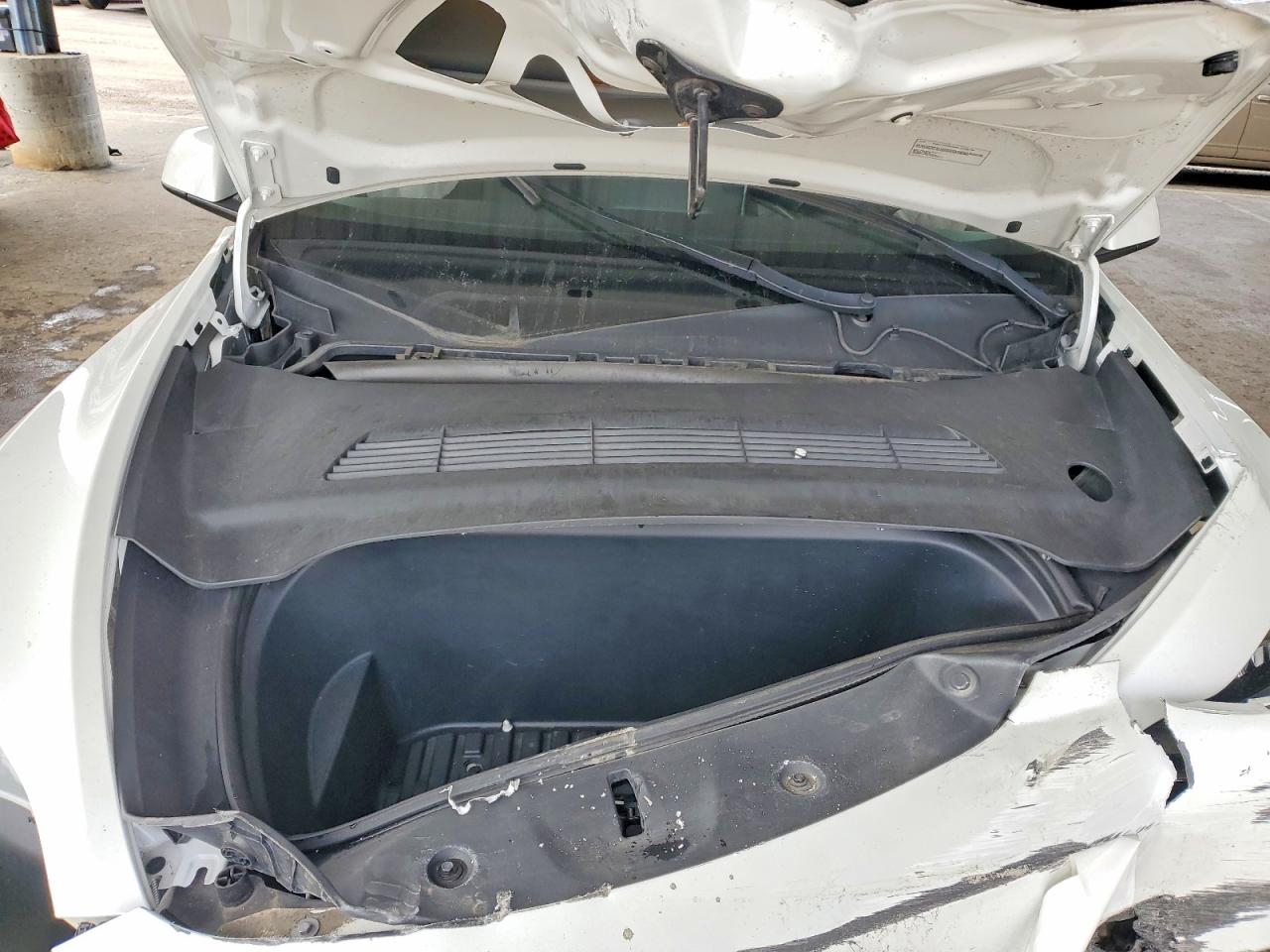 2023 Tesla Model Y White vin: 7SAYGDEEXPF638958