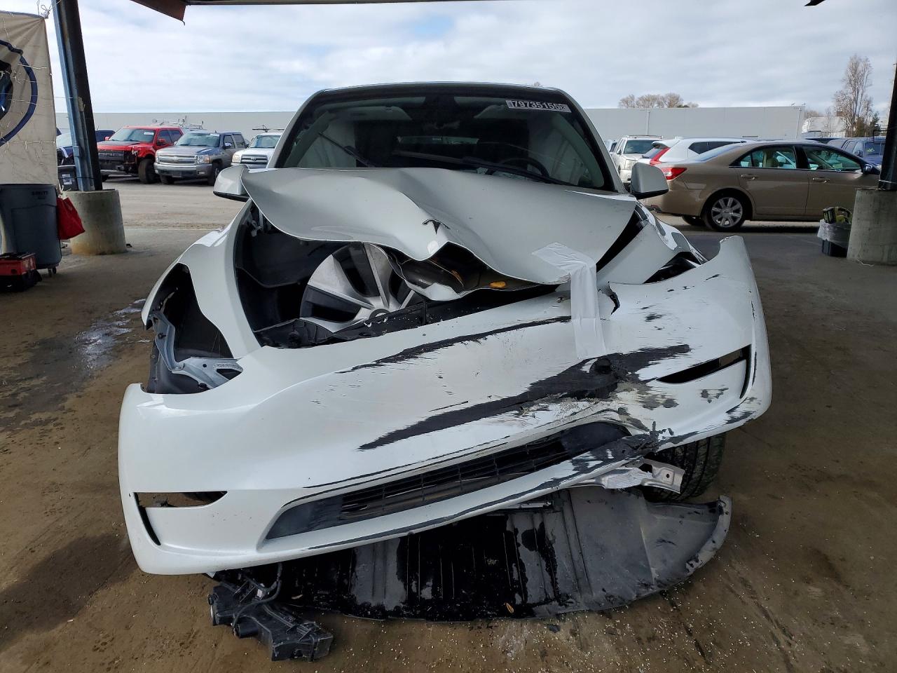 2023 Tesla Model Y White vin: 7SAYGDEEXPF638958
