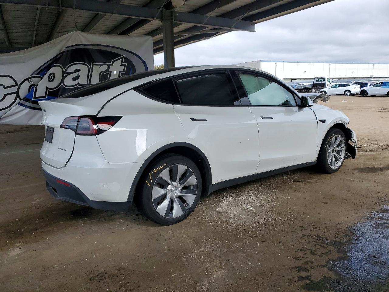 2023 Tesla Model Y White vin: 7SAYGDEEXPF638958