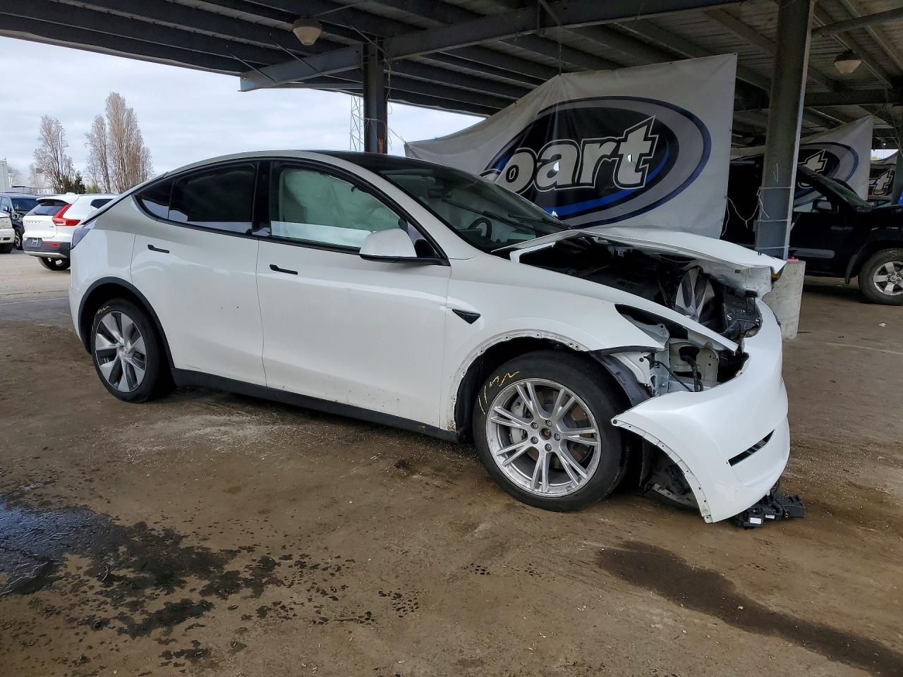 2023 Tesla Model Y White vin: 7SAYGDEEXPF638958
