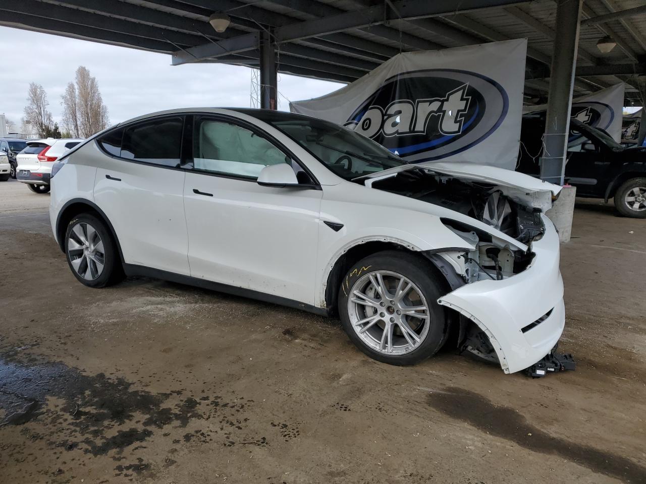 2023 Tesla Model Y White vin: 7SAYGDEEXPF638958 Damage: Right Front Wheel Opening Mldg, Broken, Replacement Required