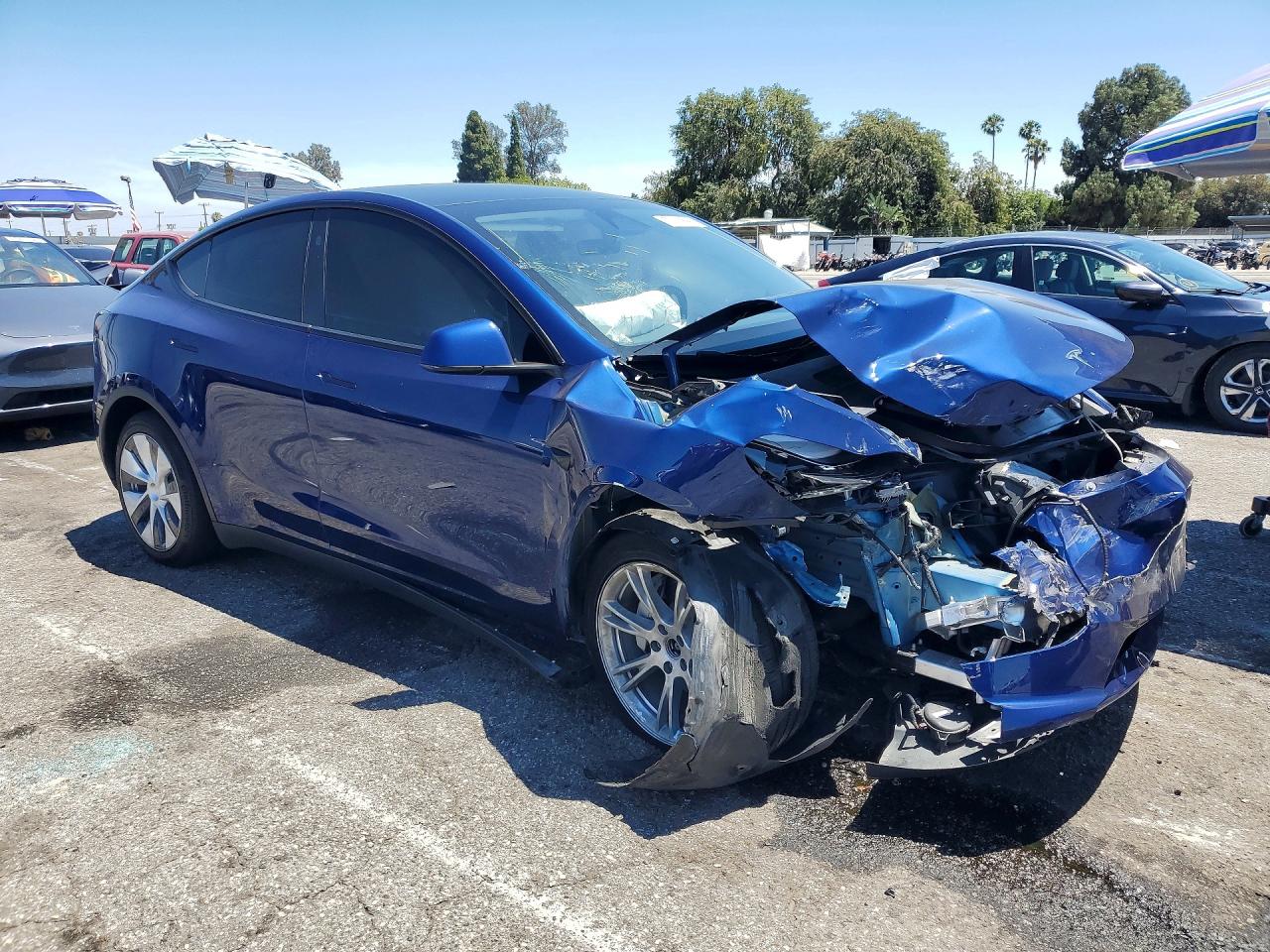 2023 Tesla Model Y Blue vin: 7SAYGDEEXPF889981