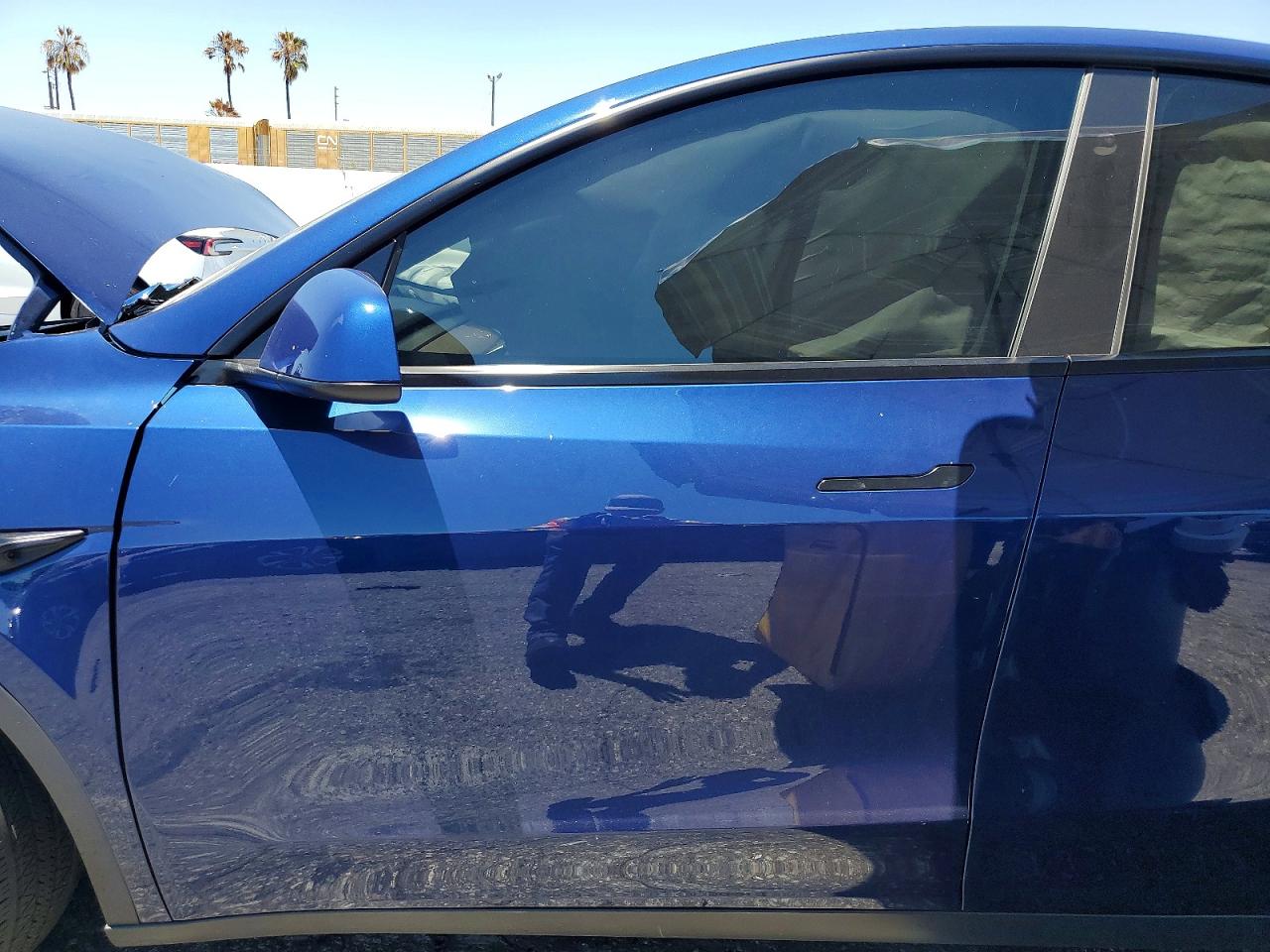 2023 Tesla Model Y Blue vin: 7SAYGDEEXPF889981