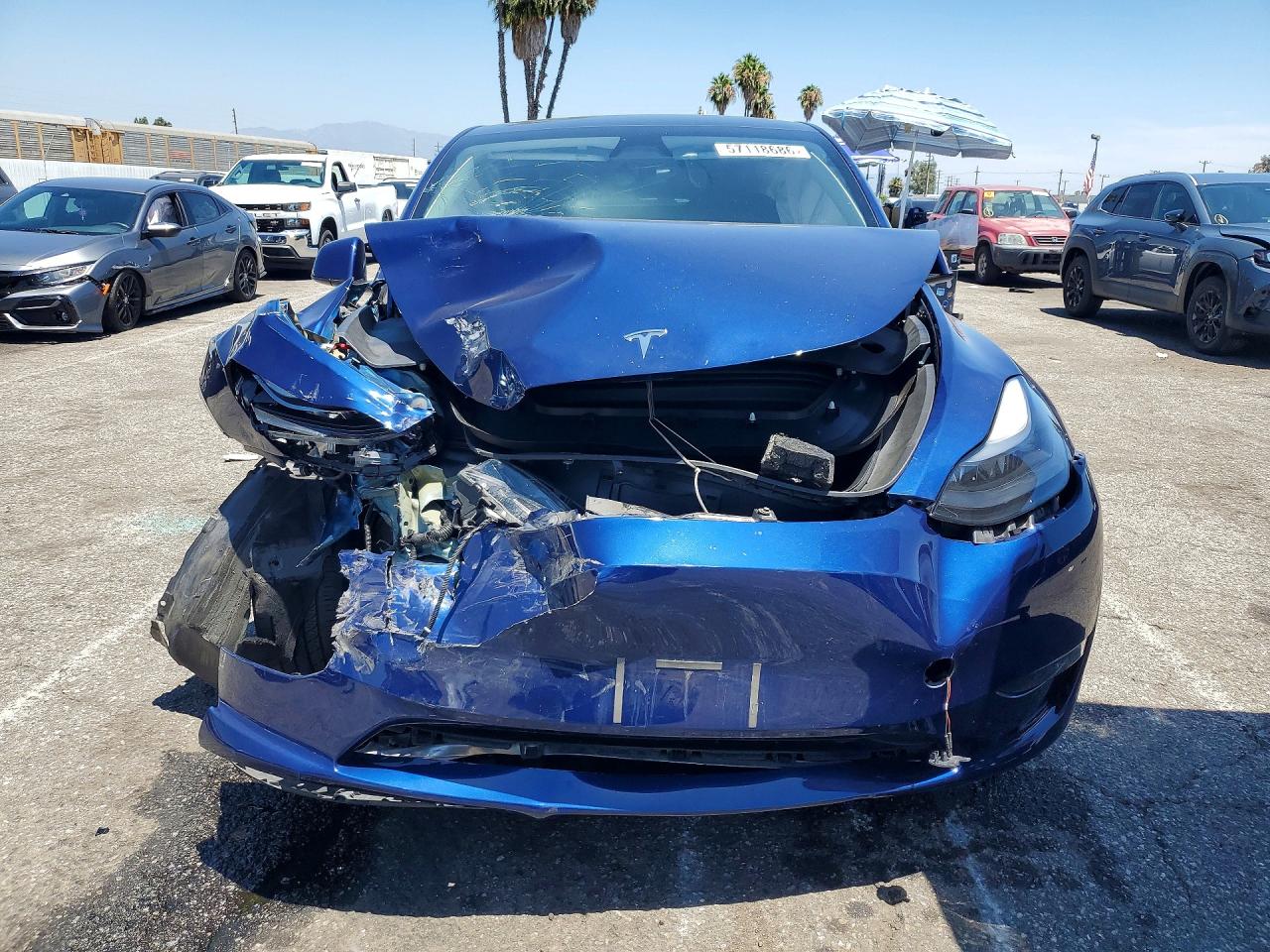 2023 Tesla Model Y Blue vin: 7SAYGDEEXPF889981