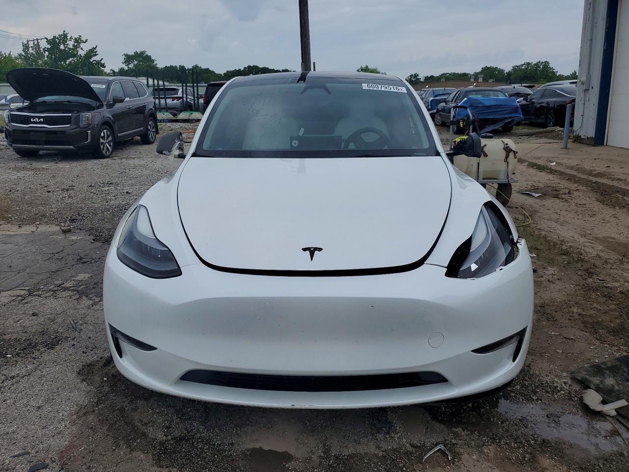 2023 Tesla Model Y White vin: 7SAYGDEF0PF830026