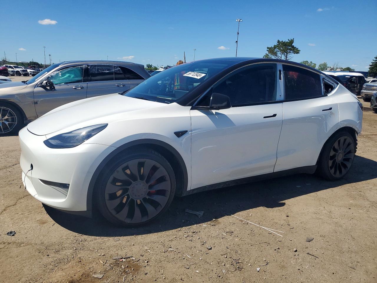 2023 Tesla Model Y Белый vin: 7SAYGDEF0PF860093