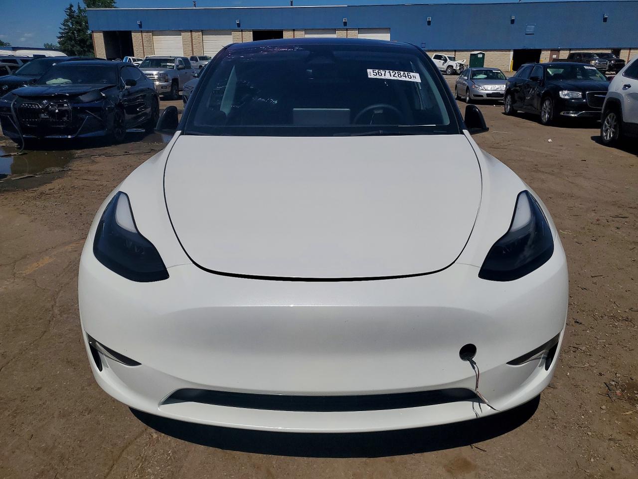 2023 Tesla Model Y White vin: 7SAYGDEF0PF860093