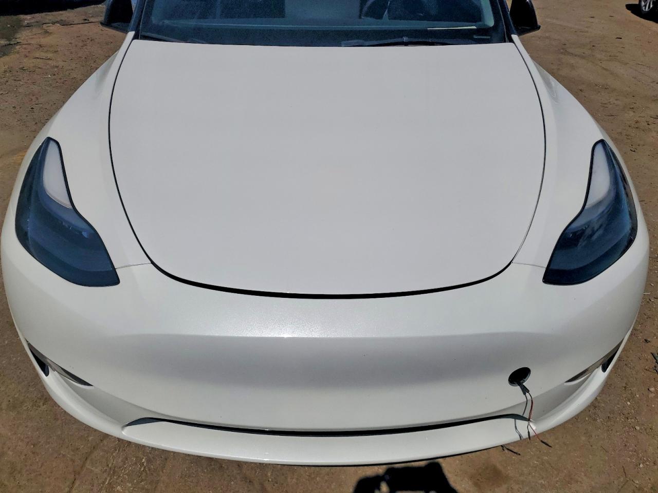 2023 Tesla Model Y White vin: 7SAYGDEF0PF860093