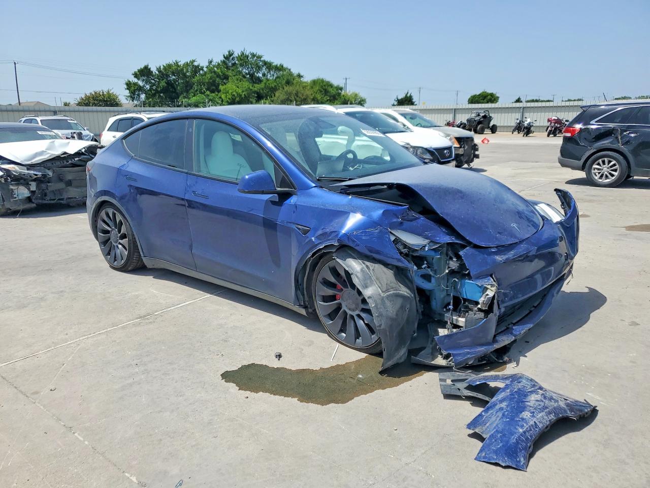 2023 Tesla Model Y Blue vin: 7SAYGDEF2PF749870