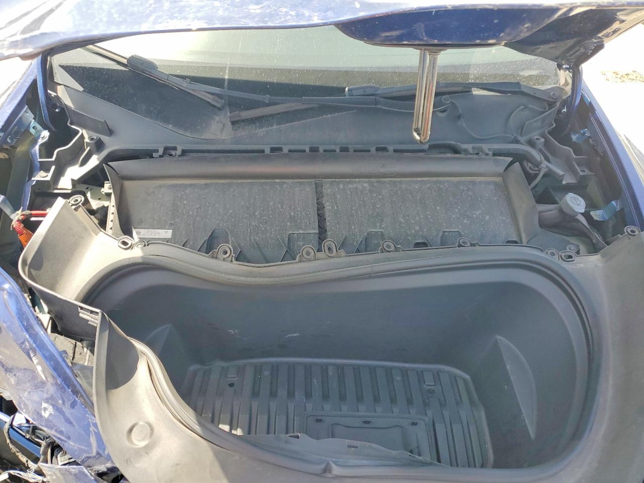 2023 Tesla Model Y Blue vin: 7SAYGDEF2PF749870