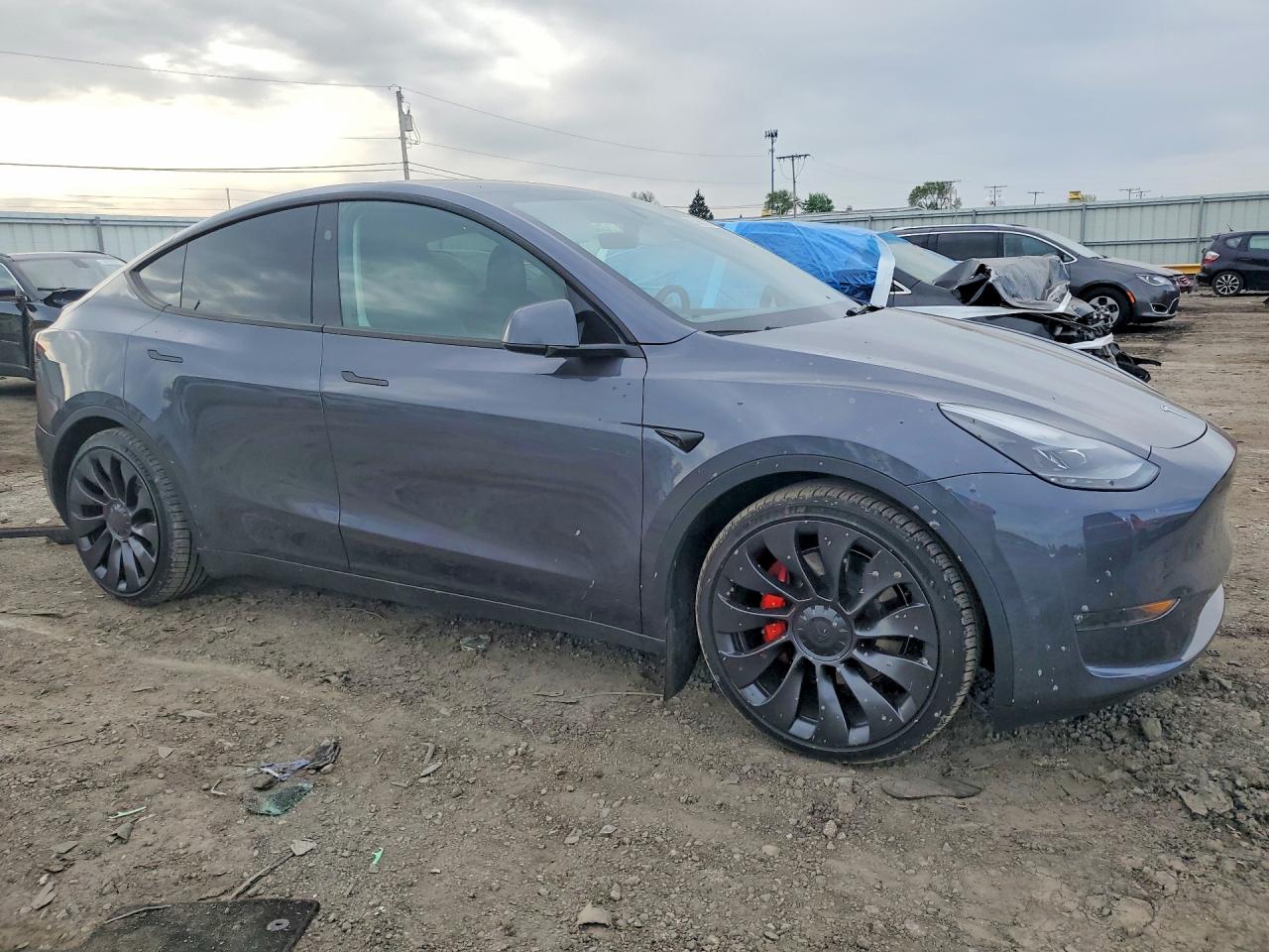 2023 Tesla Model Y Gray vin: 7SAYGDEF4PF920795