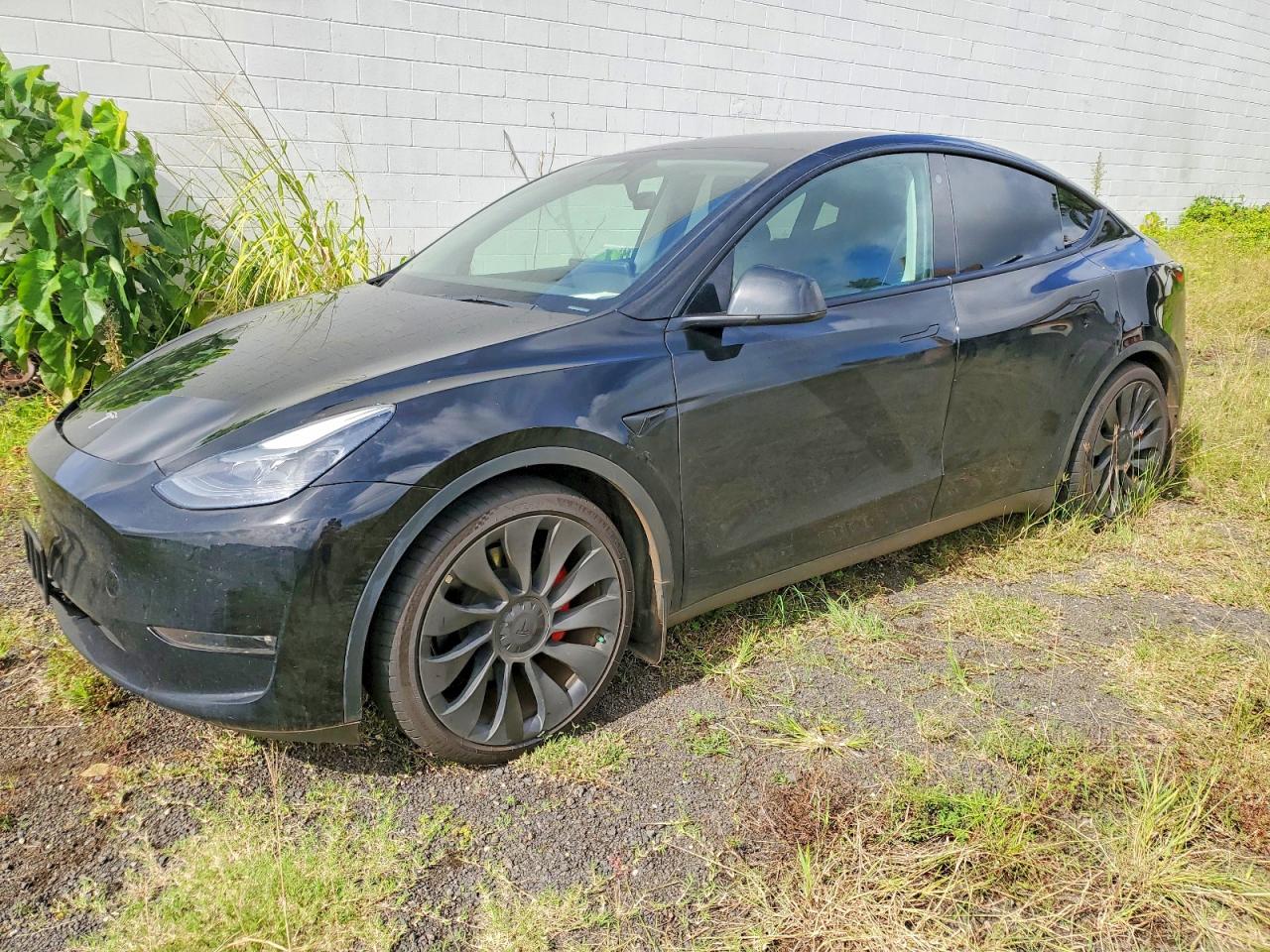 2023 Tesla Model Y Black vin: 7SAYGDEF6PF666975