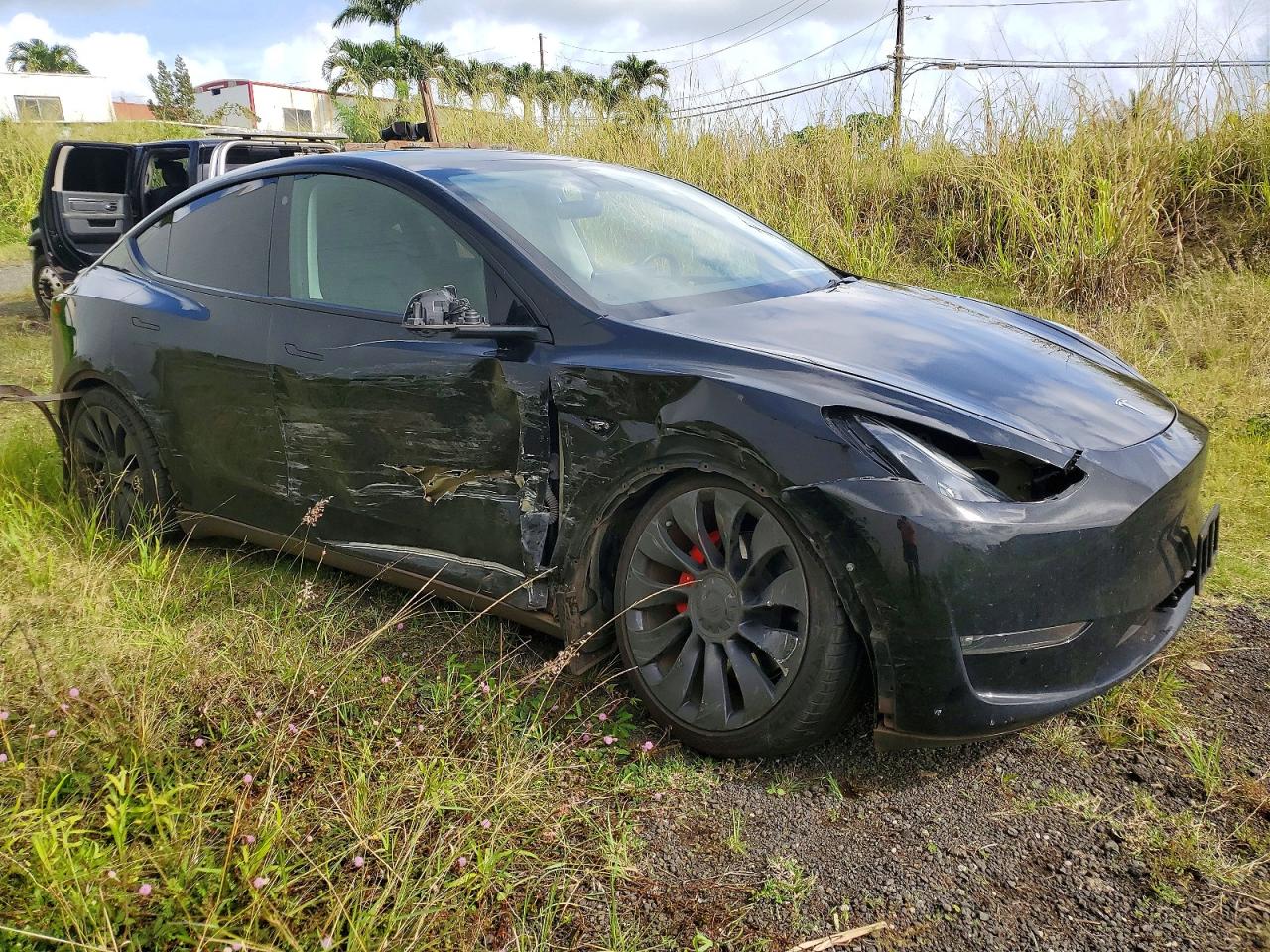 2023 Tesla Model Y Black vin: 7SAYGDEF6PF666975