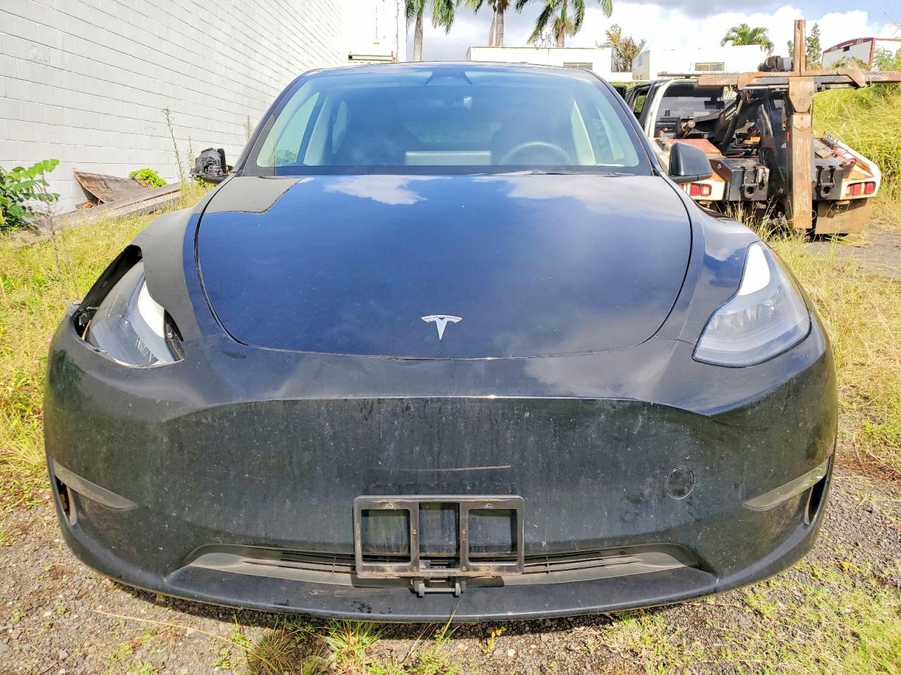 2023 Tesla Model Y Black vin: 7SAYGDEF6PF666975