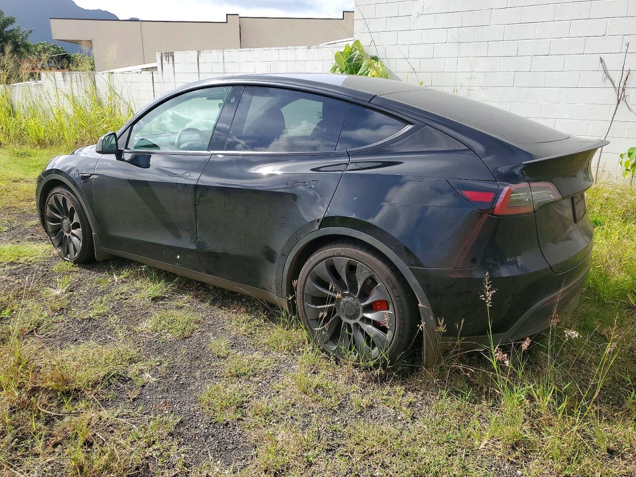 2023 Tesla Model Y Black vin: 7SAYGDEF6PF666975