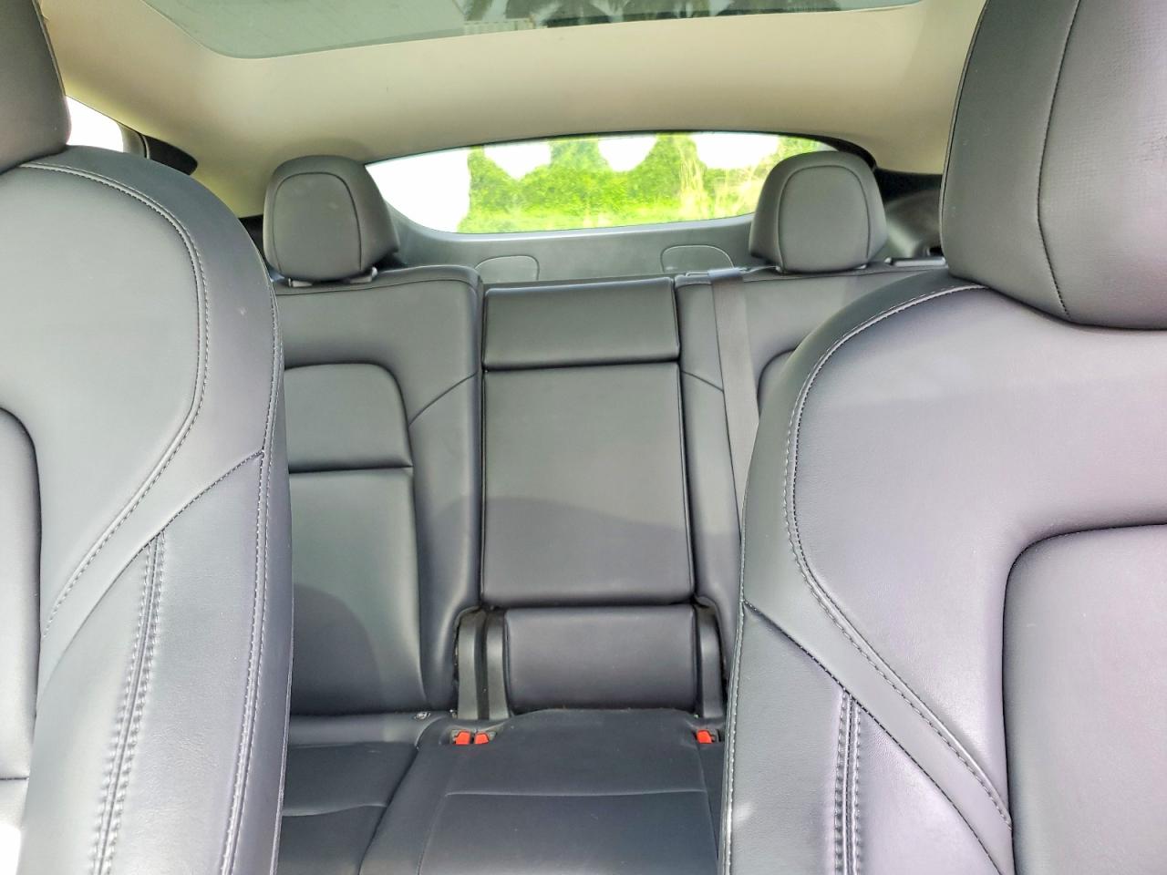 2023 Tesla Model Y Black vin: 7SAYGDEF6PF666975