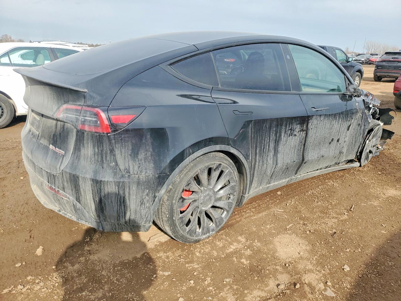 2025 Tesla Model Y Черный vin: 7SAYGDEF9SA341887