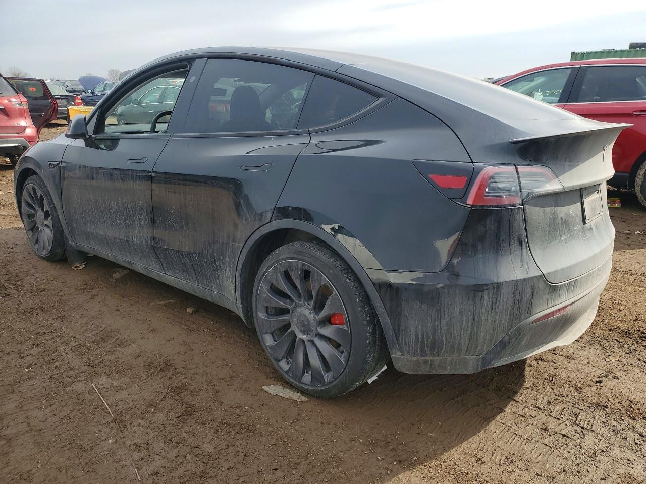 2025 Tesla Model Y Черный vin: 7SAYGDEF9SA341887
