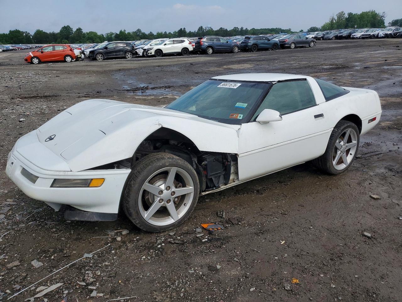1996 Chevrolet Corvette White vin: 1G1YY22P3T5117623
