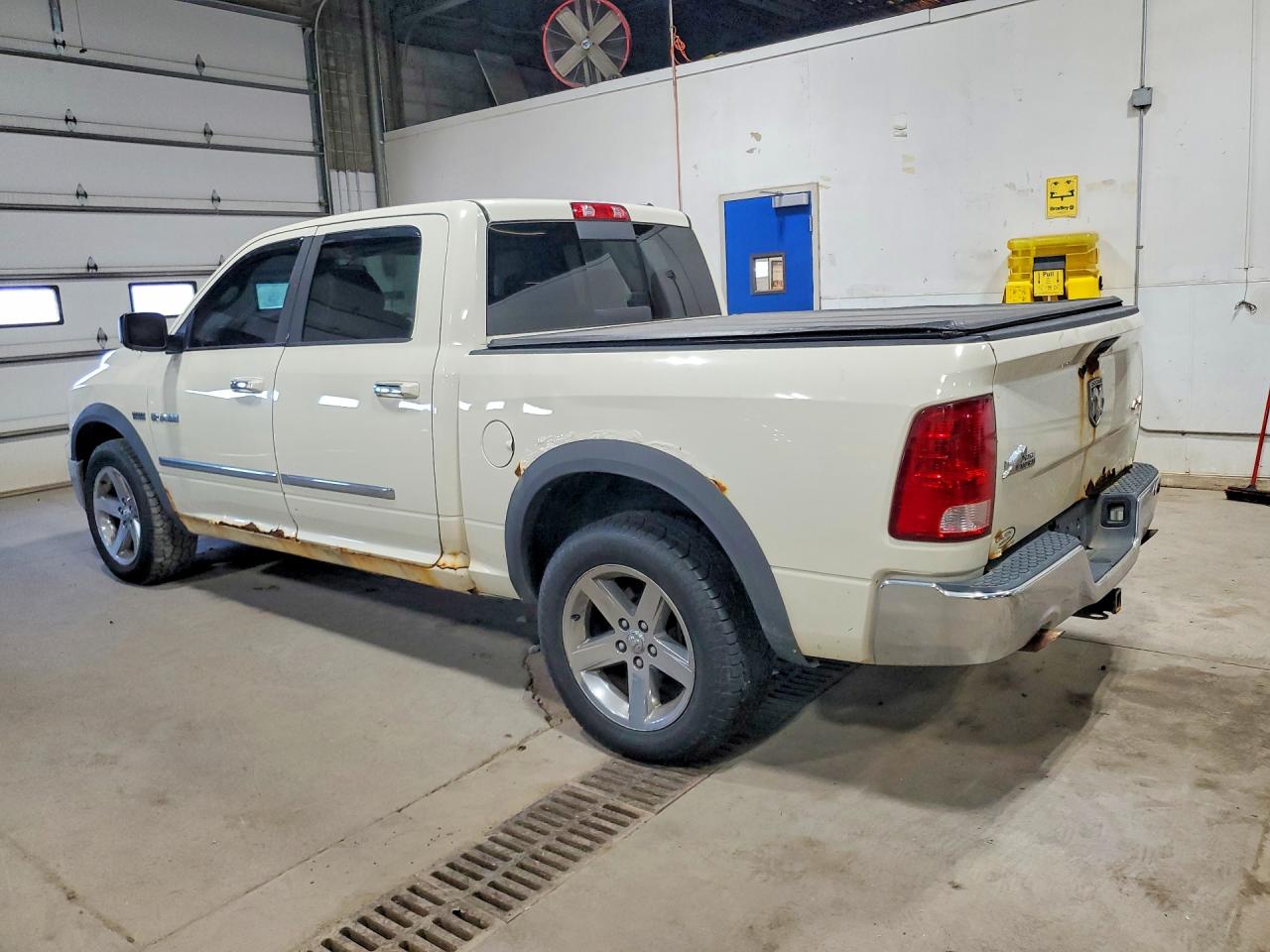 2010 Dodge Ram 1500 Cream vin: 1D7RV1CT0AS227608