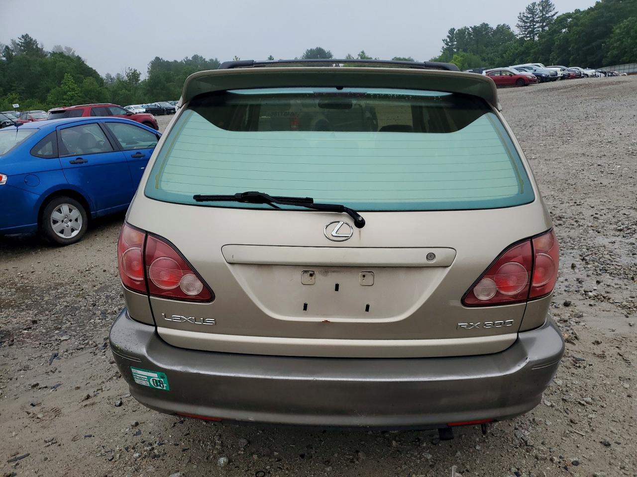 2000 Lexus Rx 300 Beige vin: JT6HF10U5Y0101564