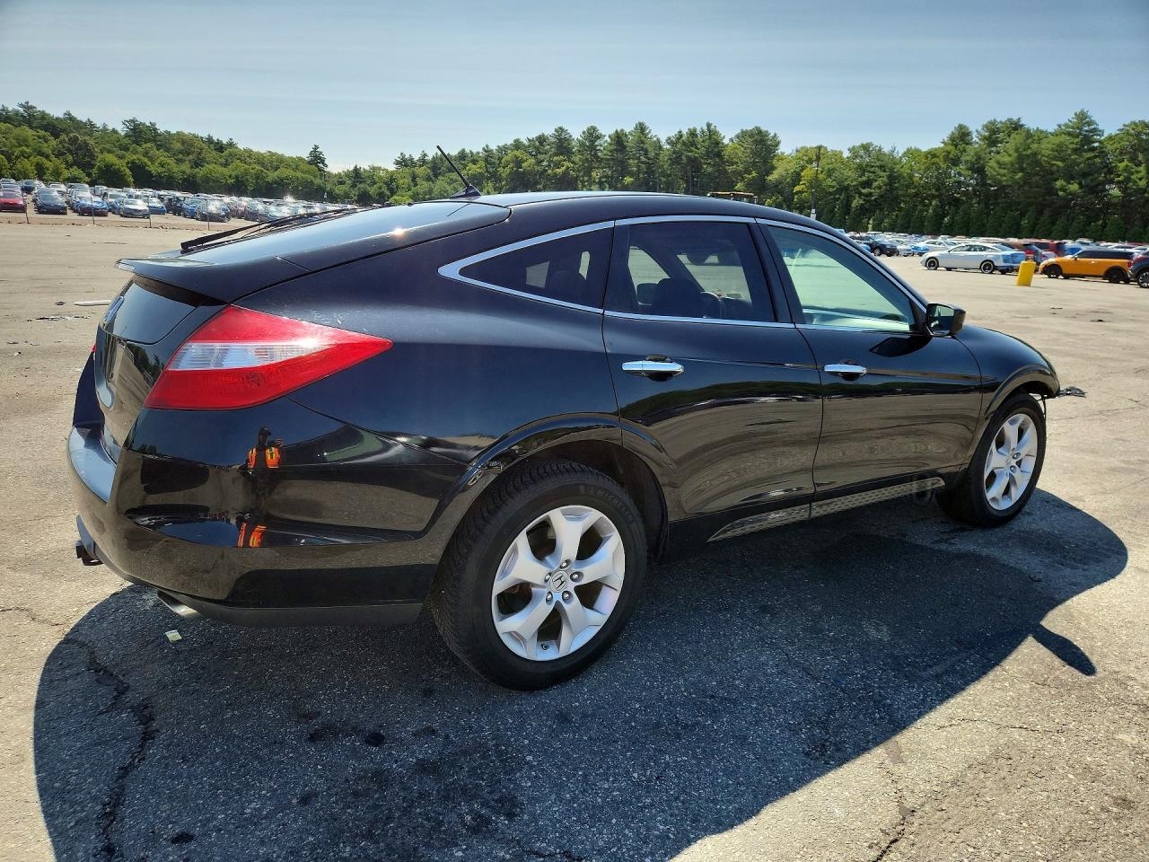 2011 Honda Accord Crosstour Exl Black vin: 5J6TF2H52BL006272