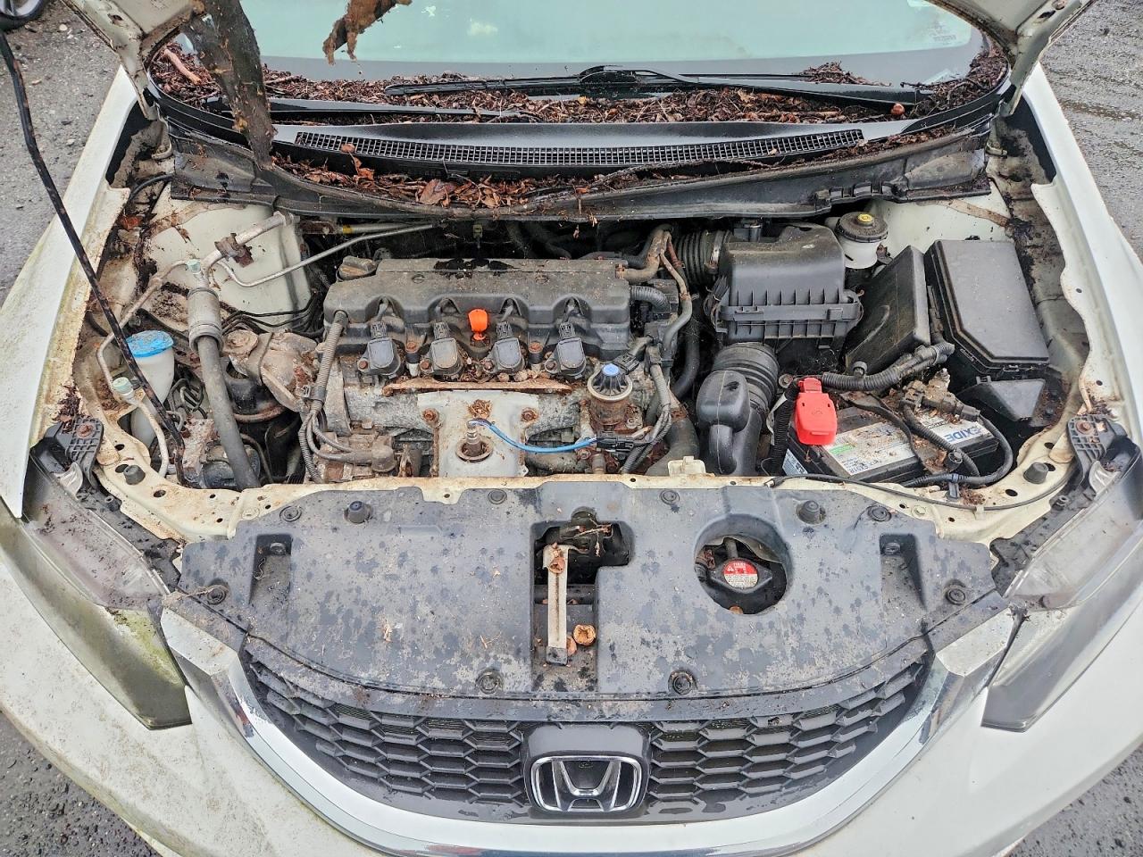2013 Honda Civic Lx Белый vin: 2HGFB2F5XDH522656