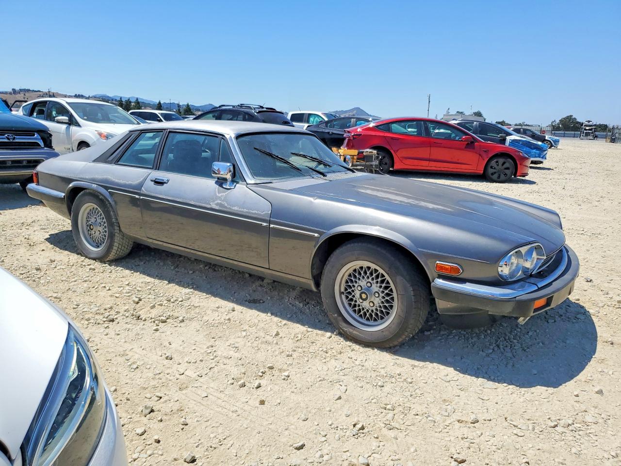 1989 Jaguar Xjs Gray vin: SAJNA5844KC155676