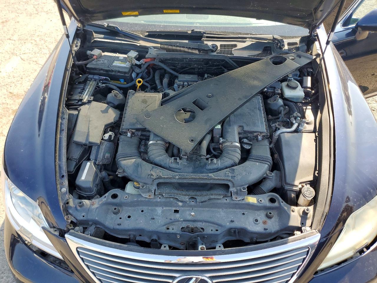 2009 Lexus Ls 460 Base Blue vin: JTHCL46F695002339