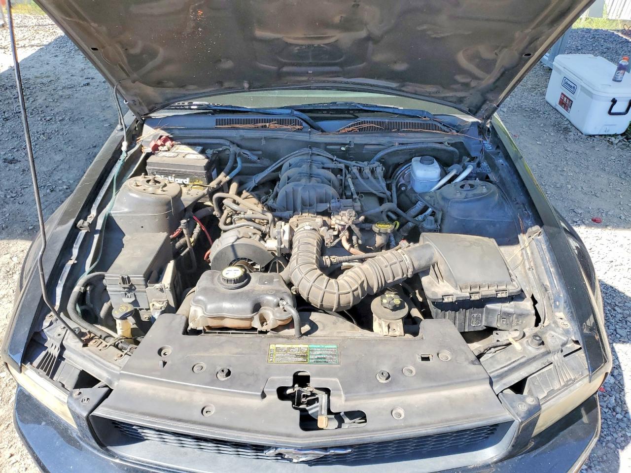 2005 Ford Mustang Черный vin: 1ZVFT80N055193401