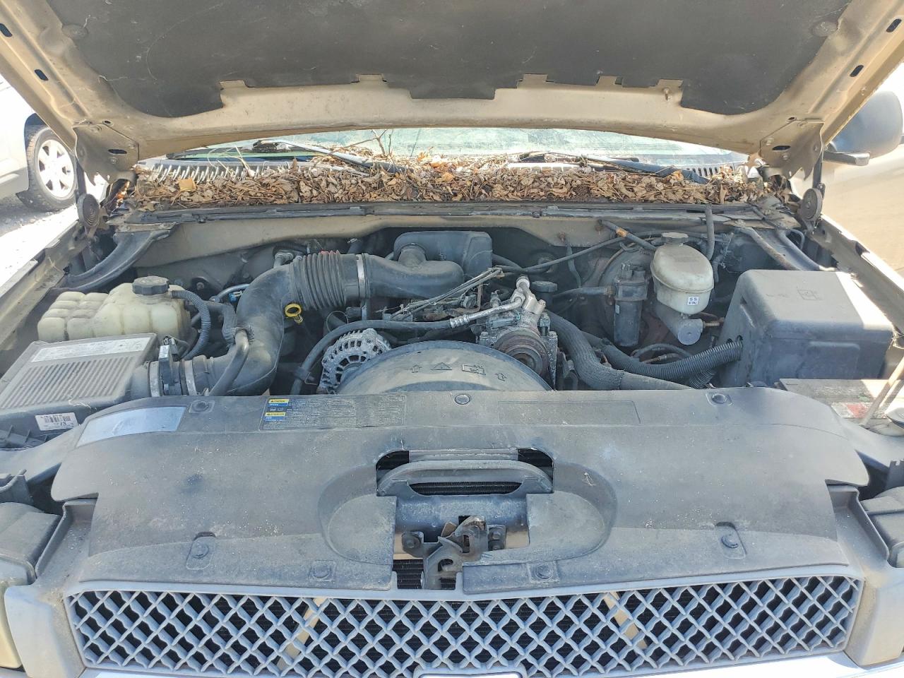 2004 Chevrolet Silverado C1500 Желто-коричневый vin: 1GCEC14X54Z216227