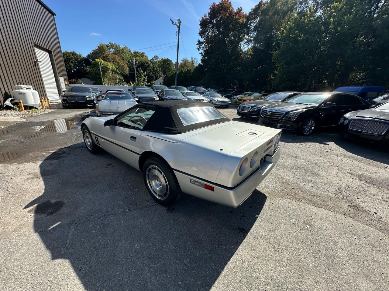 1986 Chevrolet Corvette Gray vin: 1G1YY6789G5901710