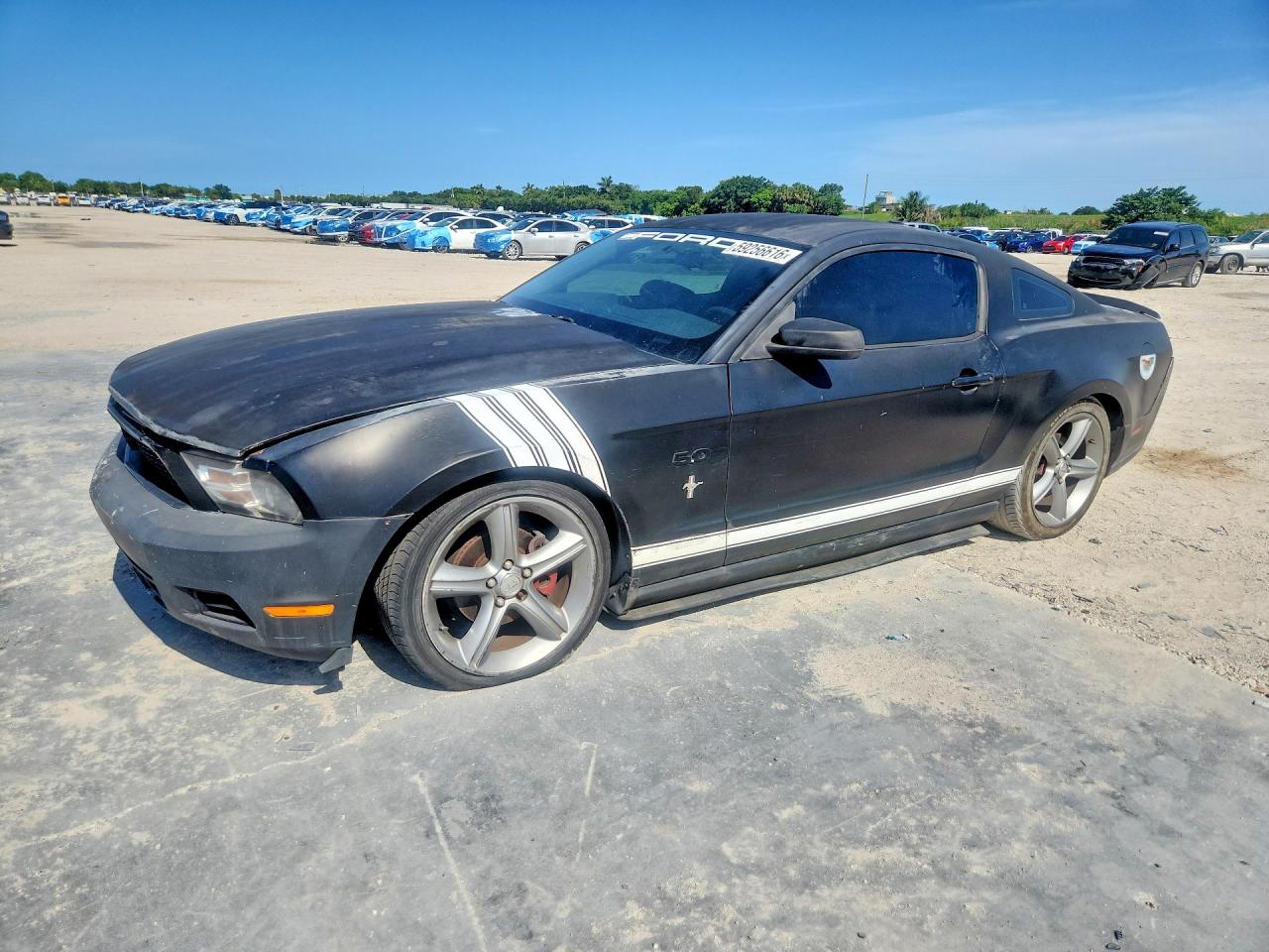 2010 Ford Mustang Black vin: 1ZVBP8AN3A5143636