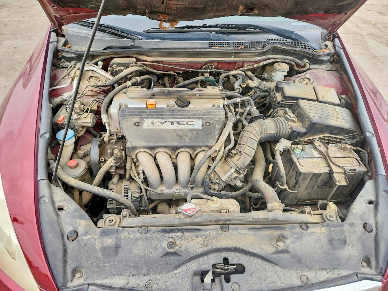 2006 Honda Accord Ex Burgundy vin: 1HGCM56876A182764