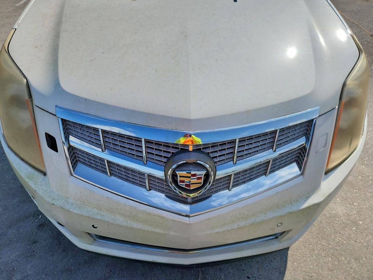 2010 Cadillac Srx Premium Collection White vin: 3GYFNCEY9AS608020