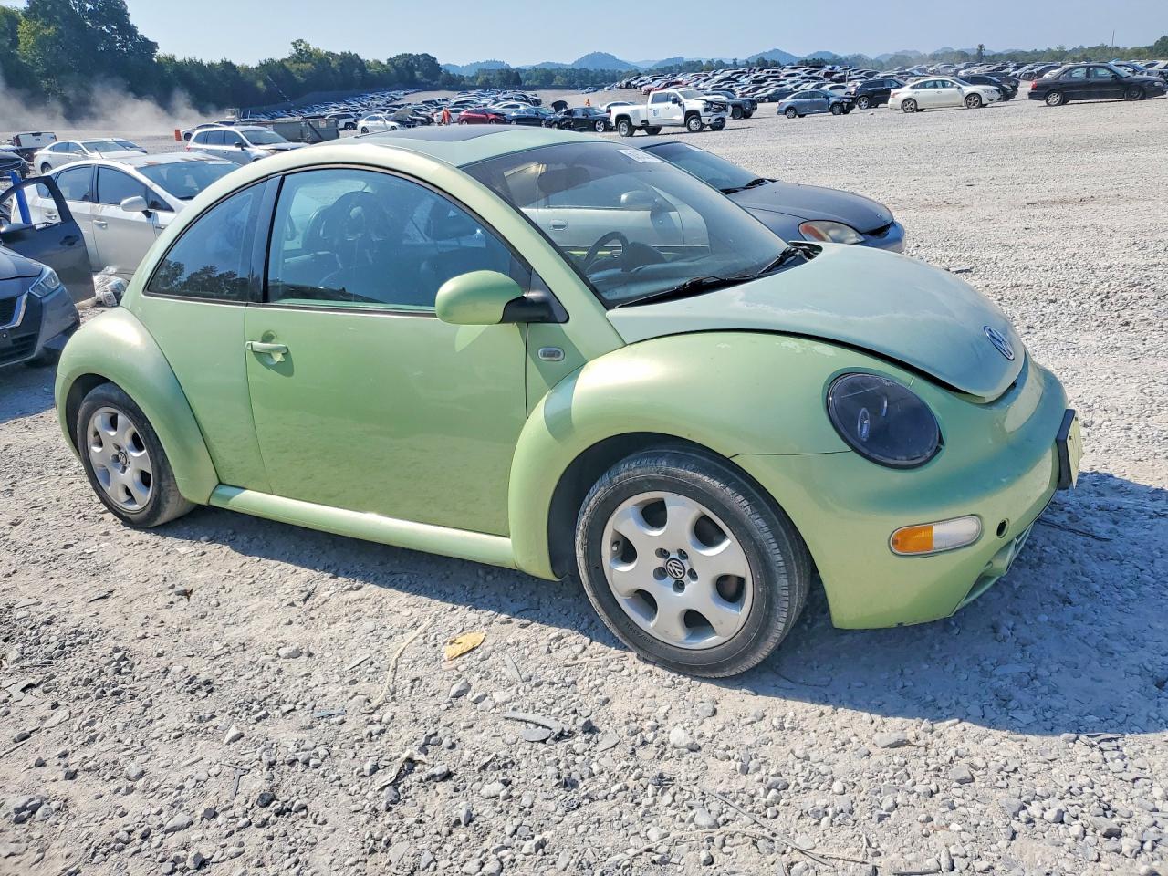 2002 Volkswagen New Beetle Glx Green vin: 3VWDD21C52M403477