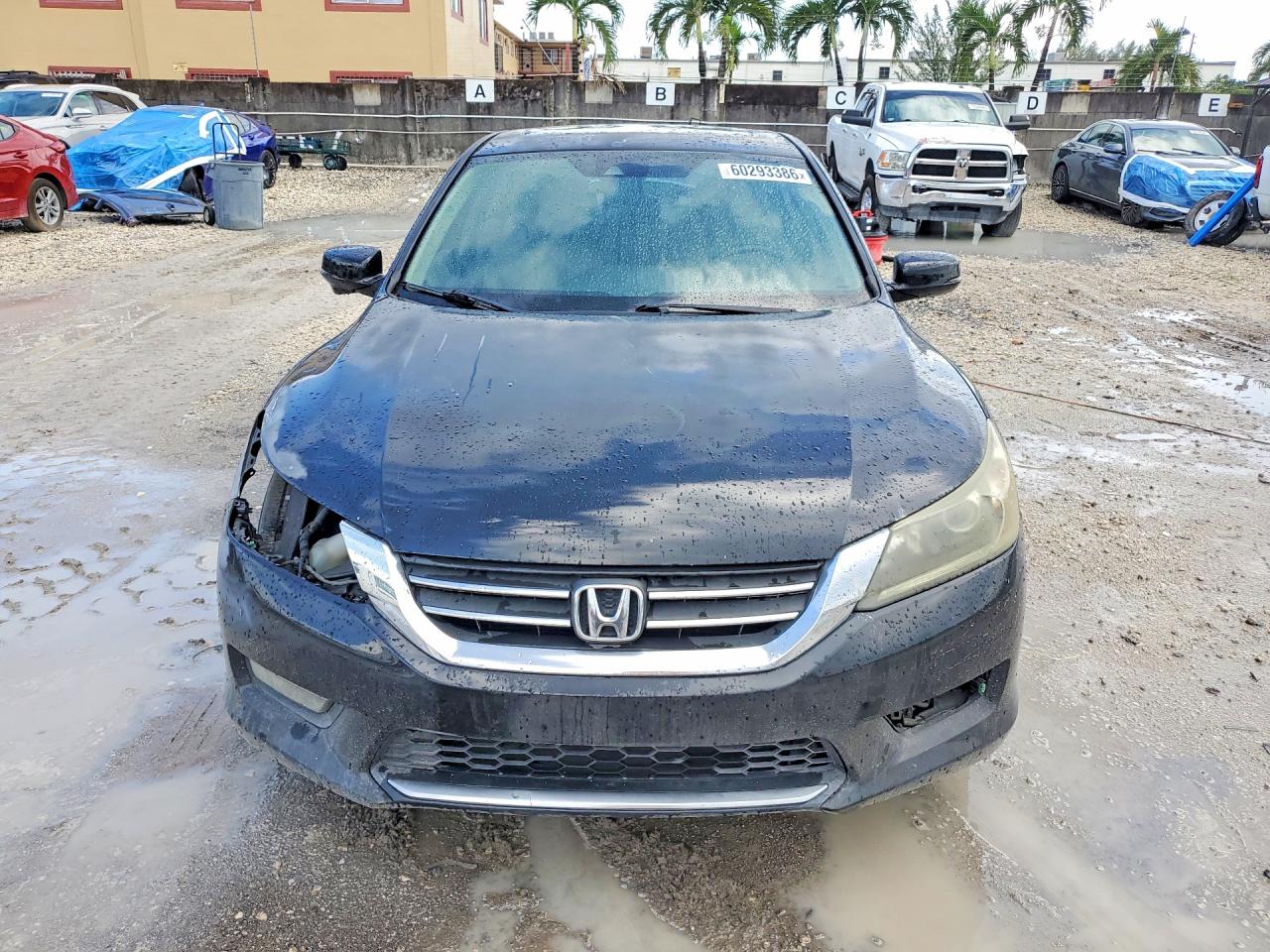 2014 Honda Accord Exl Black vin: 1HGCR2F82EA193654