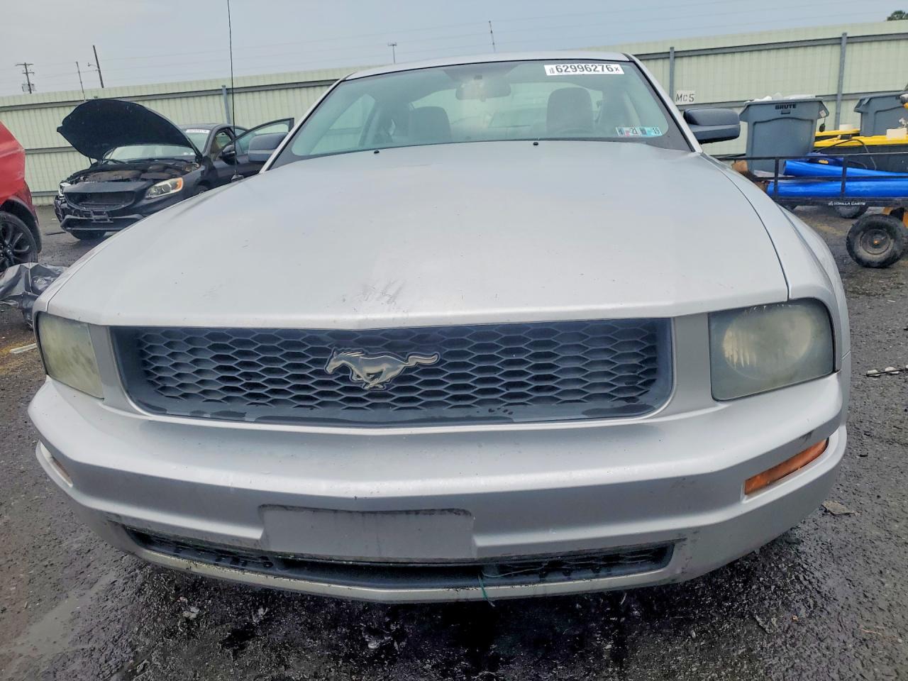 2009 Ford Mustang Gray vin: 1ZVHT80N895104804